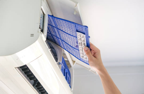 Best Affordable Duct Cleaning Services  in Frostproof, FL